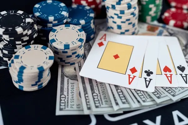 togelcc link What Bingo Offers at togelcc link